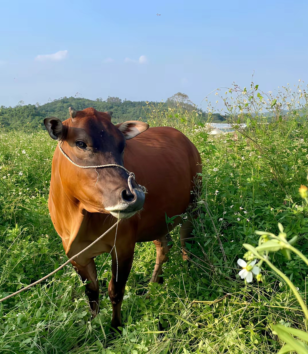 万市皆有运，风水轮流转！阳春三月，不急不躁，静待花开，静待美好！