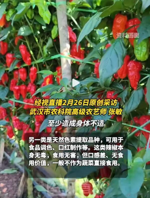 还有“工业辣椒”这种东西啊，看了一下介绍，它并不是有毒有害，而是不适宜食用，因为