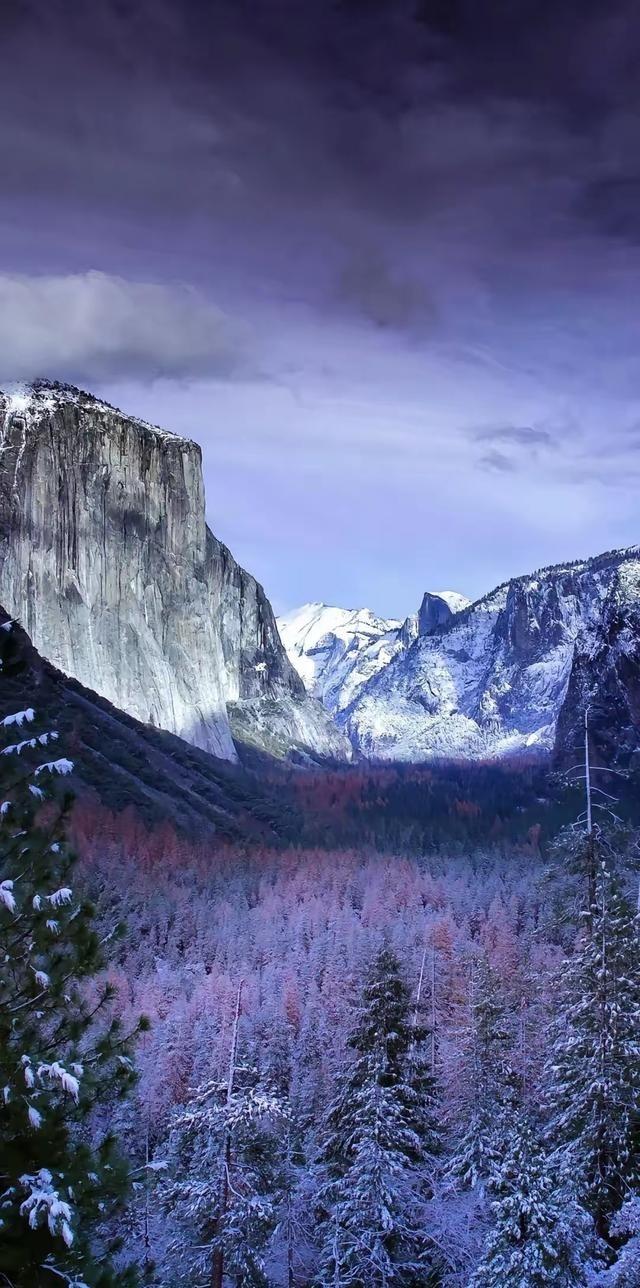 一位生物学教授说：“性欲就是大自然为了让你送命而下的高级陷阱，你以为你在享受，