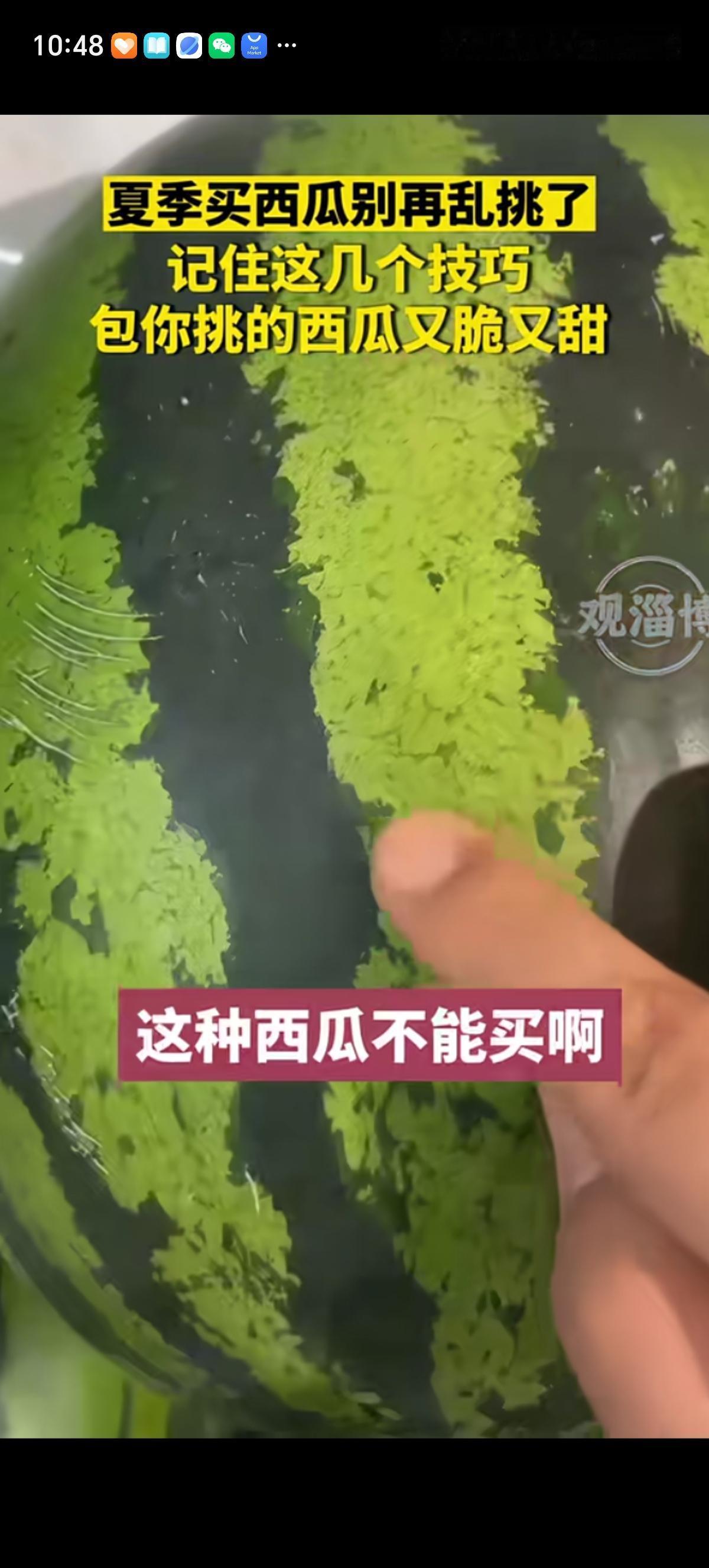 夏天经验丰富的瓜农分享了挑选香甜多汁西瓜的小技巧，主要有三点注意事项：第一看瓜