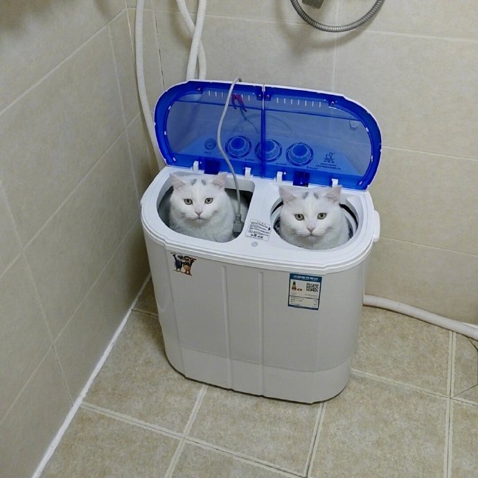 原来我的蓝牙猫机落厕所了​​​