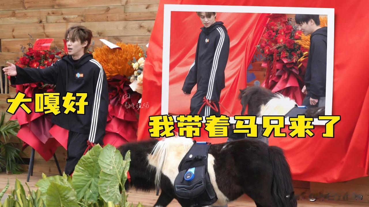 1月23日，王鹤棣马年带小马上综艺！《亲爱的客栈》开业，作为主理人的他在上面讲