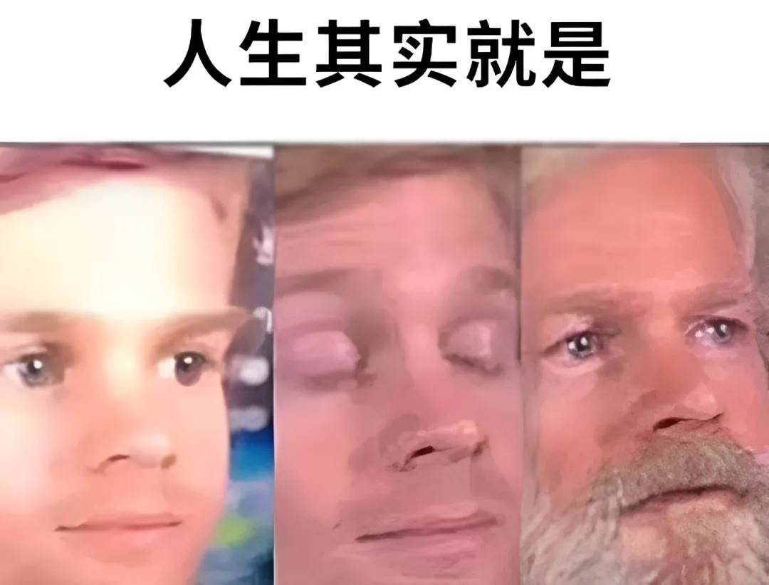 人生其实就是:撑过去一天，再撑过去另一天memes​​​