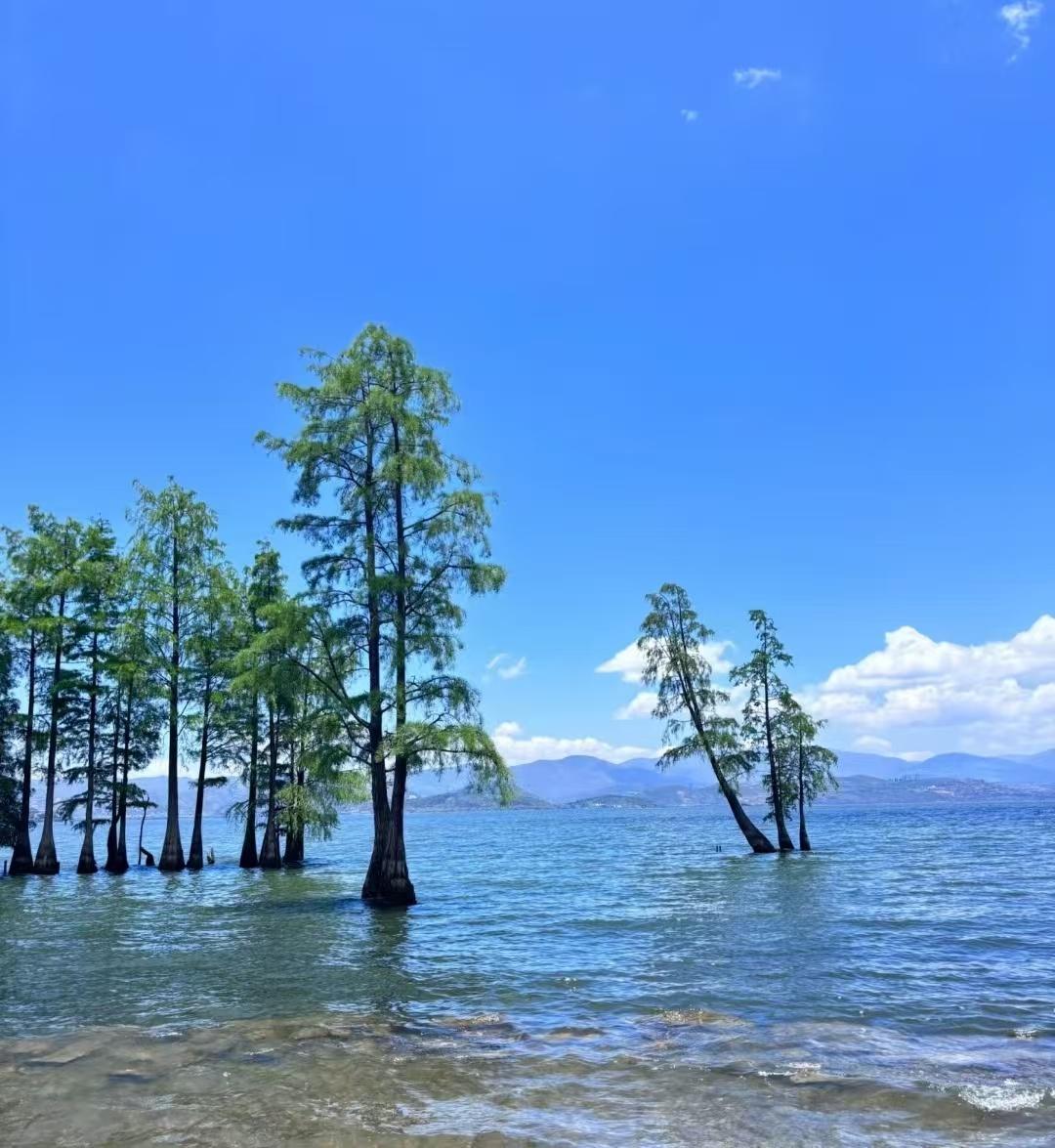 醍醐灌顶的话：“旅游其实并没有太大的意义，当你去到不同的地方旅游，会发现那