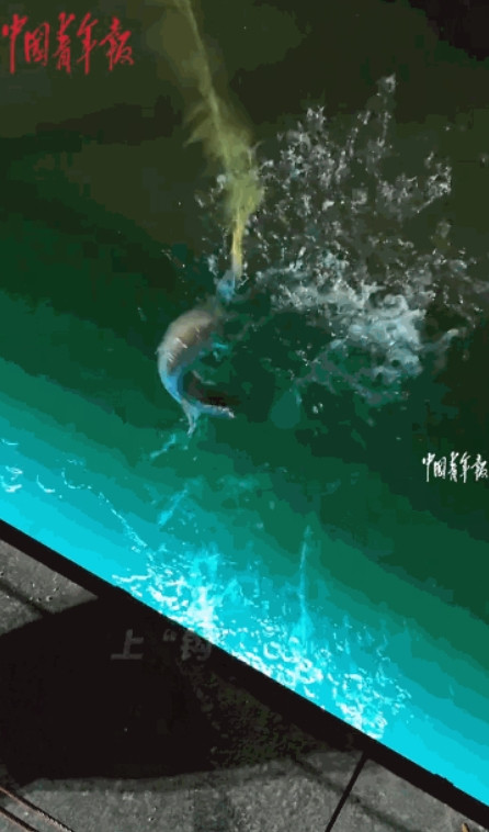 “这就是命啊！”近日，河北沧州，一男子晚上散步路过一处河塘时，随手拿起附近的柳枝