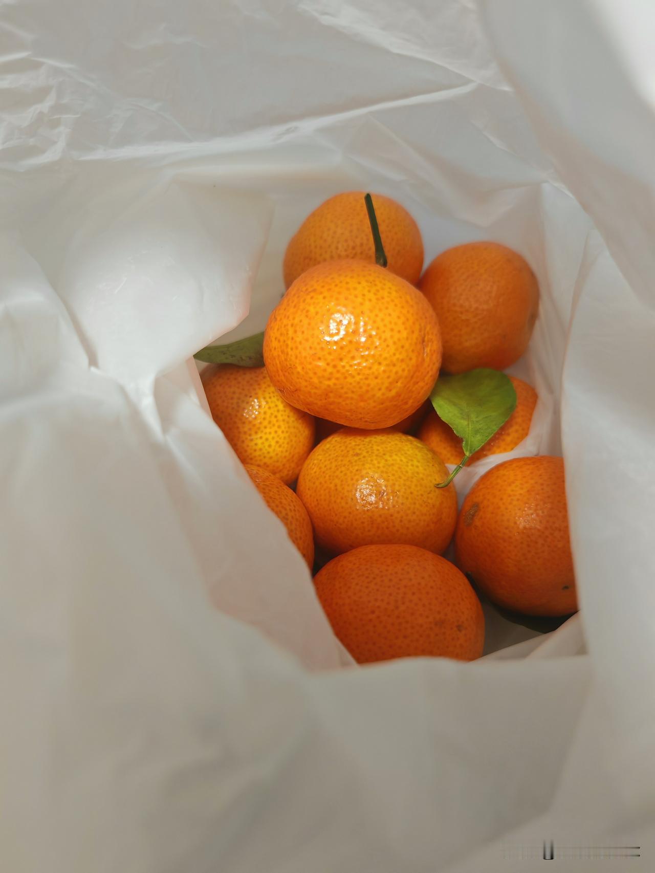 今天买菜，买了个这回来冬天到了，又可以吃这个了以前小时候都没有这个，只有大的