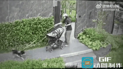 危险来了，先抱住狗狗还是先抱住孩子，这个妈妈给出了一个与众不同的选择！视频里