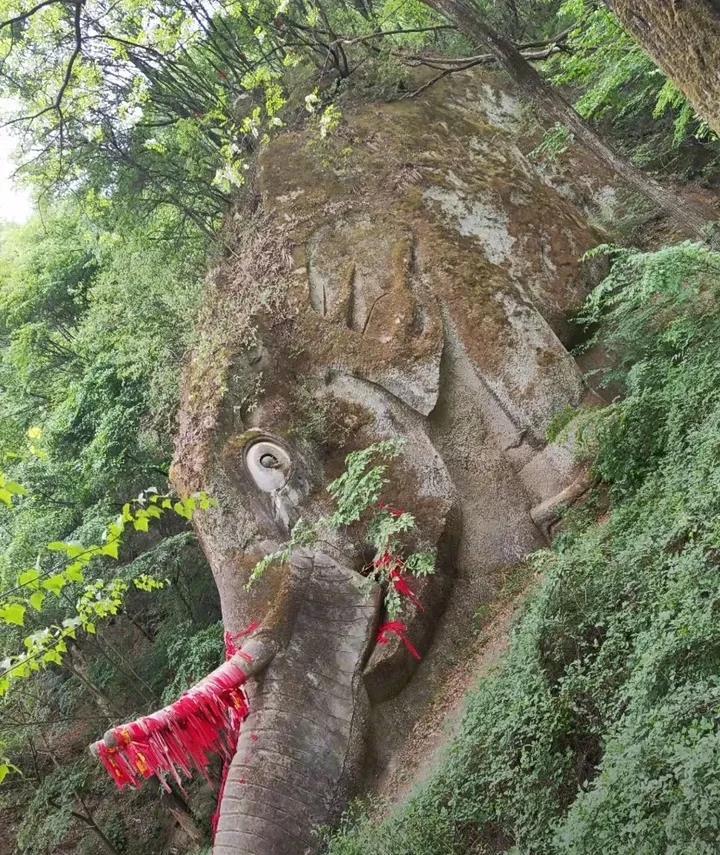 这头大象真是大自然的鬼斧神功！