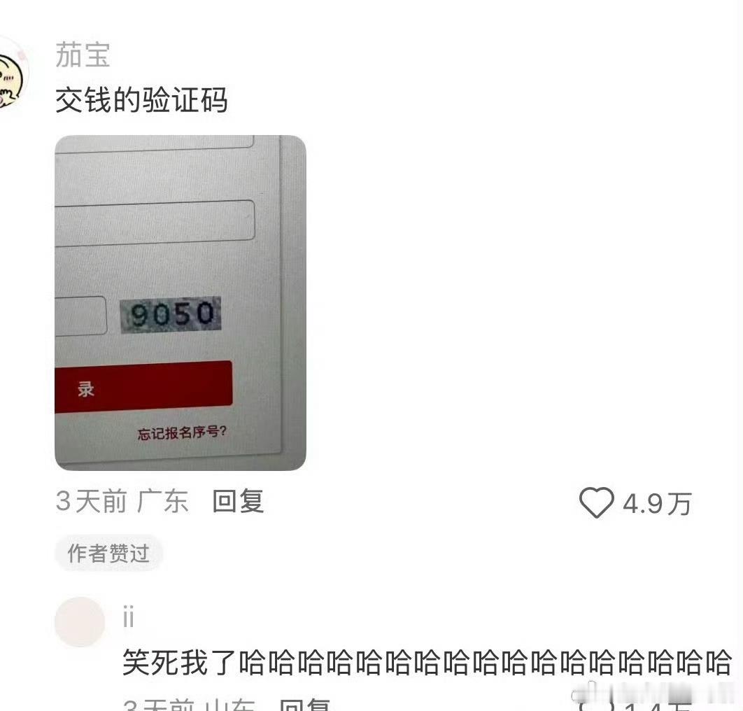 国考报名时的验证码vs缴费时的验证码