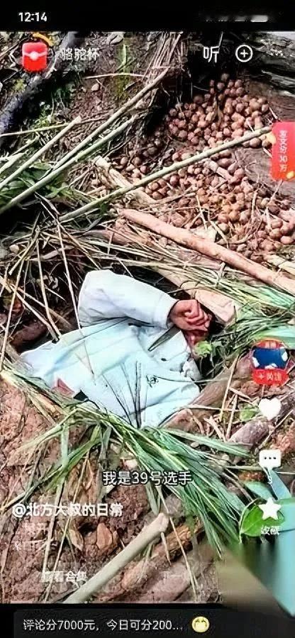 东北大哥荒野求生14天…退赛了！没想到他全程没生过一次火！喝半个月生水、