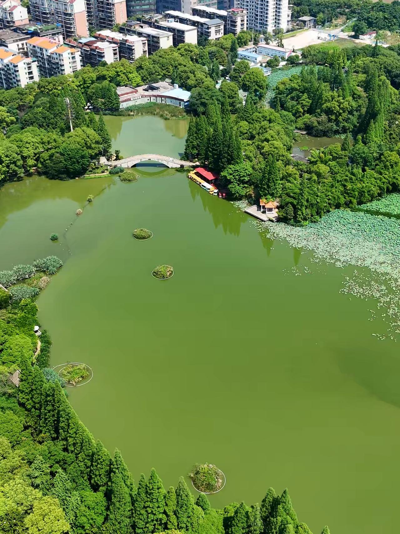 总投资2215亿的省级城市更新大盘，衡阳只拿下五个重点片区！ 6月17日，湖