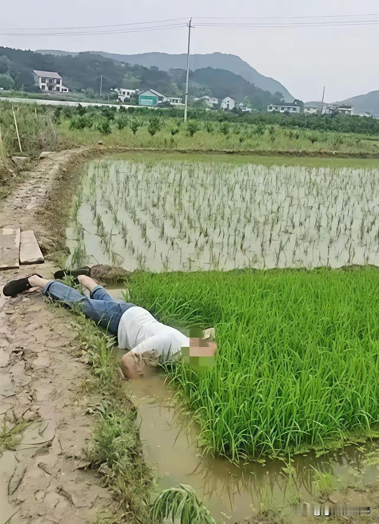 拨乱反正，正本清源2024年5月成都乡村发生一起不幸的事70多岁大爷晨练，走