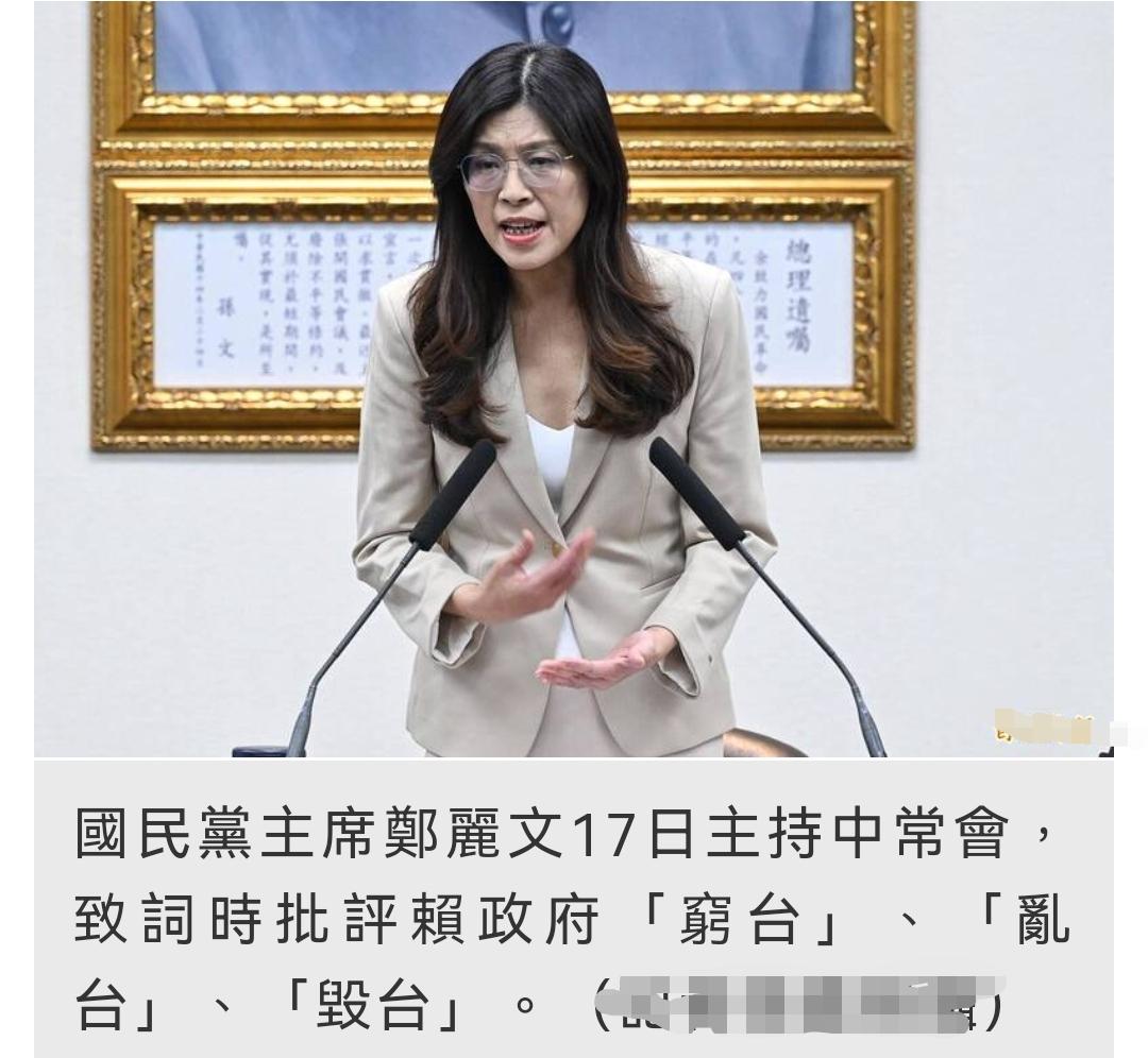 郑丽文中常会发言：赖清德不识字又兼没卫生蓝营做好长期作战的准备！国民党主席