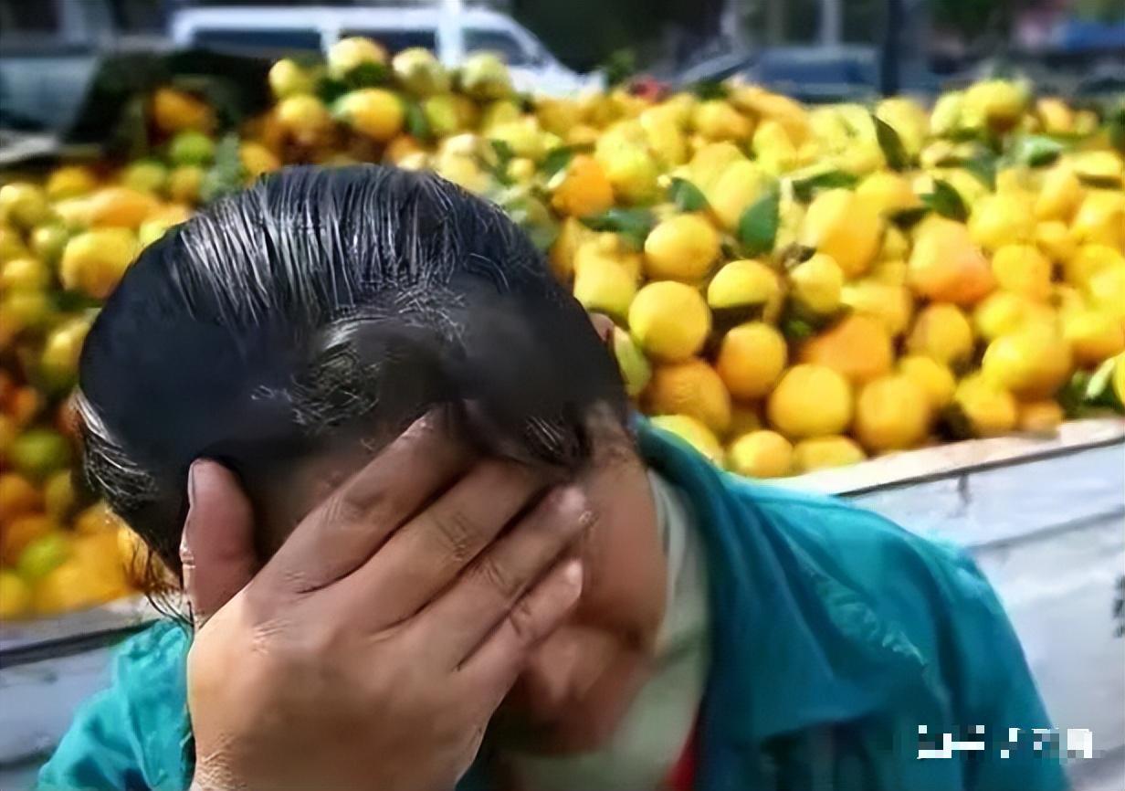 太现实！海外水果产区无视互利共赢原则恶意挑衅中方，被切断对华贸易通道，常年依赖中