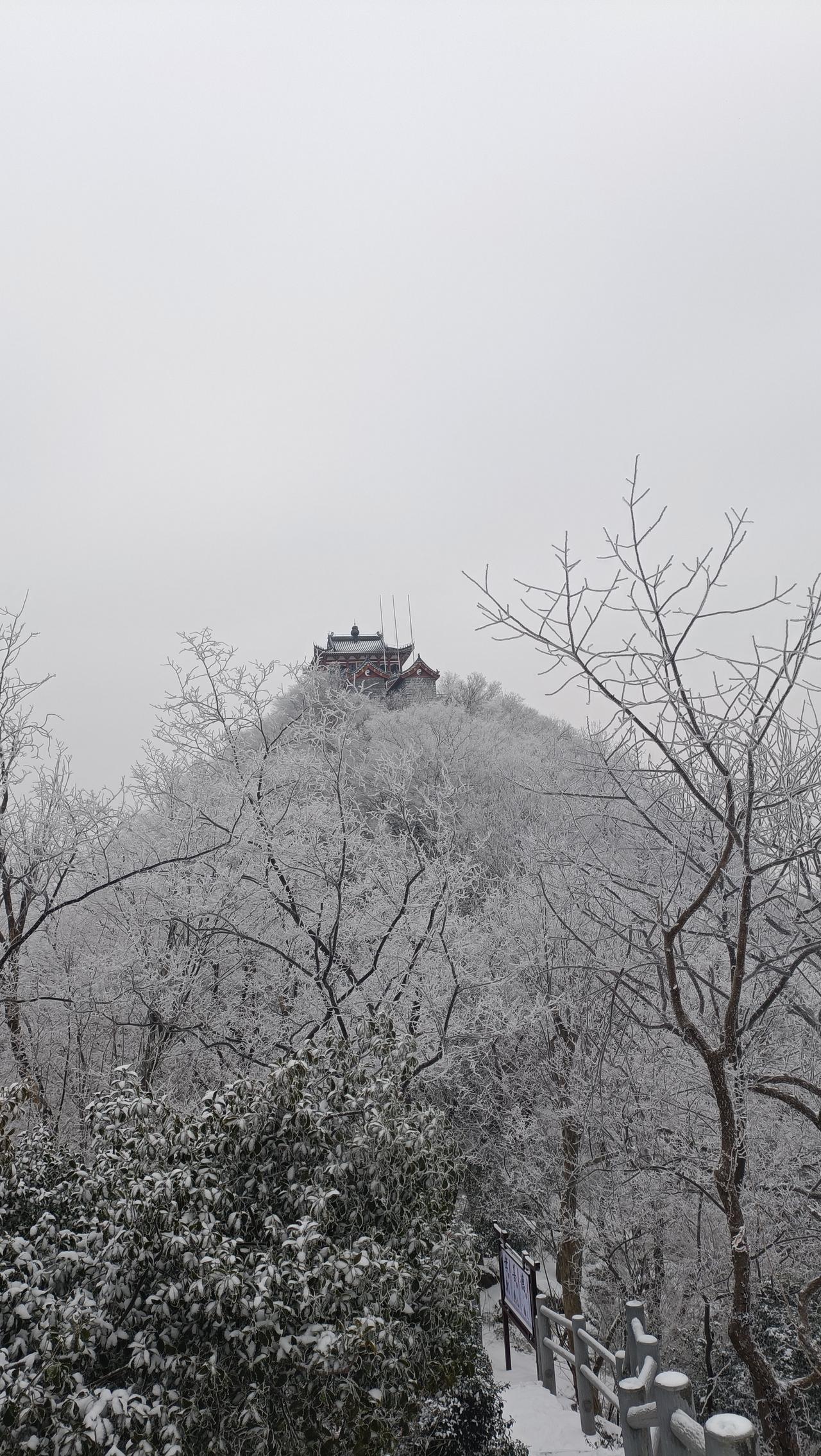 分享一张冬日雪景图圣境之巅，大雪满山，玉树琼花，银装素裹，欢迎来到冰雪大世界。