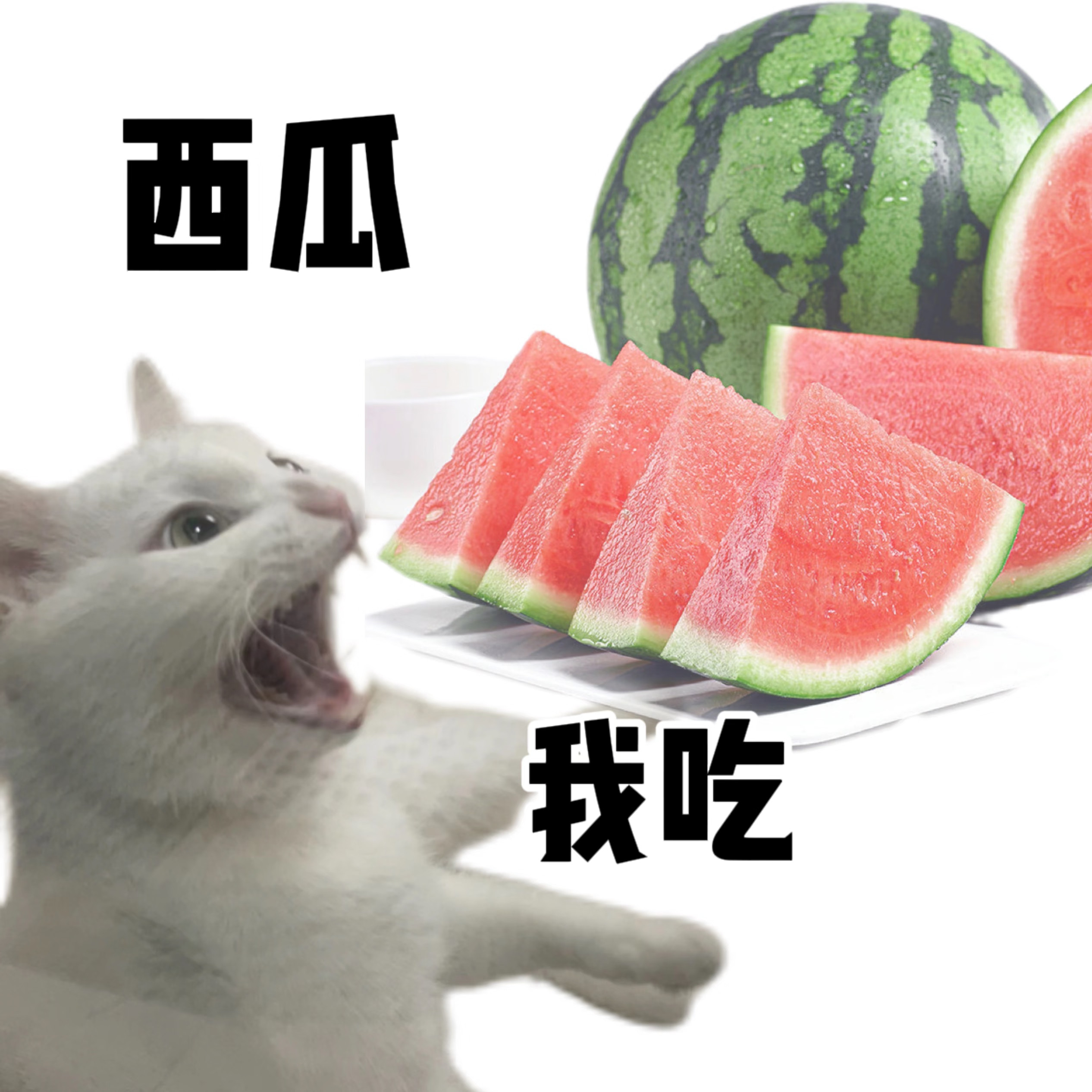 每天一条冷知识研究发现，切开后常温存放的西瓜在3小时内菌落数就会增加近100倍