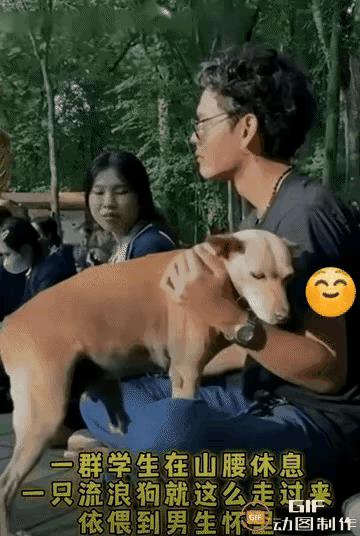 这么多人，这条狗为啥偏偏找一个男生？我觉得，可能他养狗，身上有狗子的味道，因此这