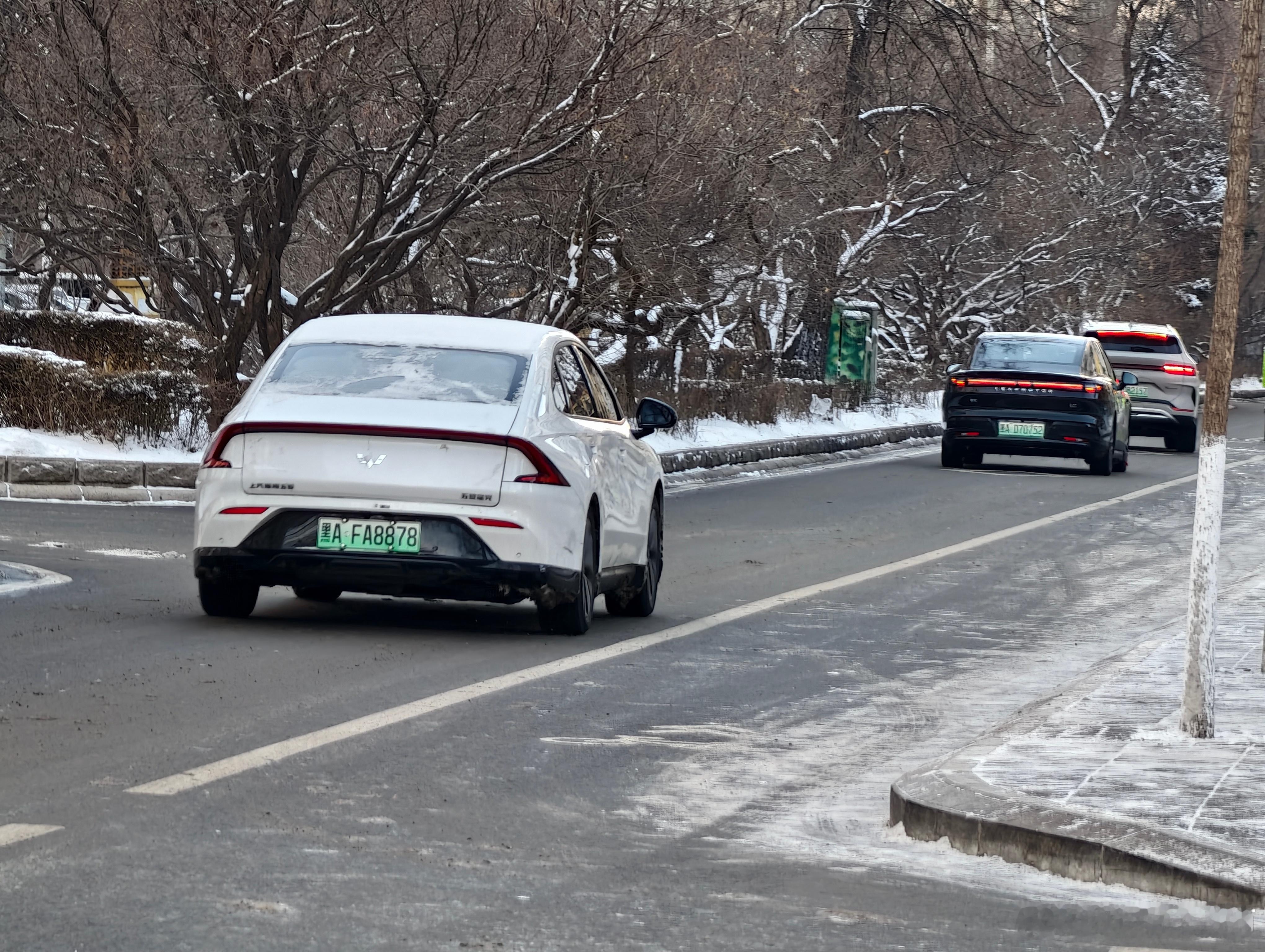 哈尔滨作为“这么北方”的大城市，马路上的绿牌车比例大大超过我的想象，而且纯电的也