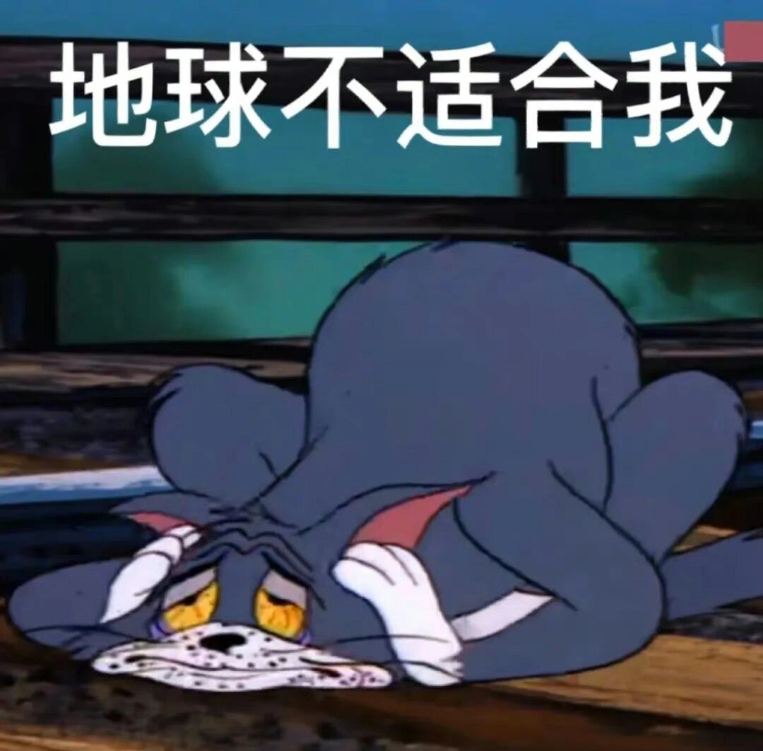 猫和老鼠表情包