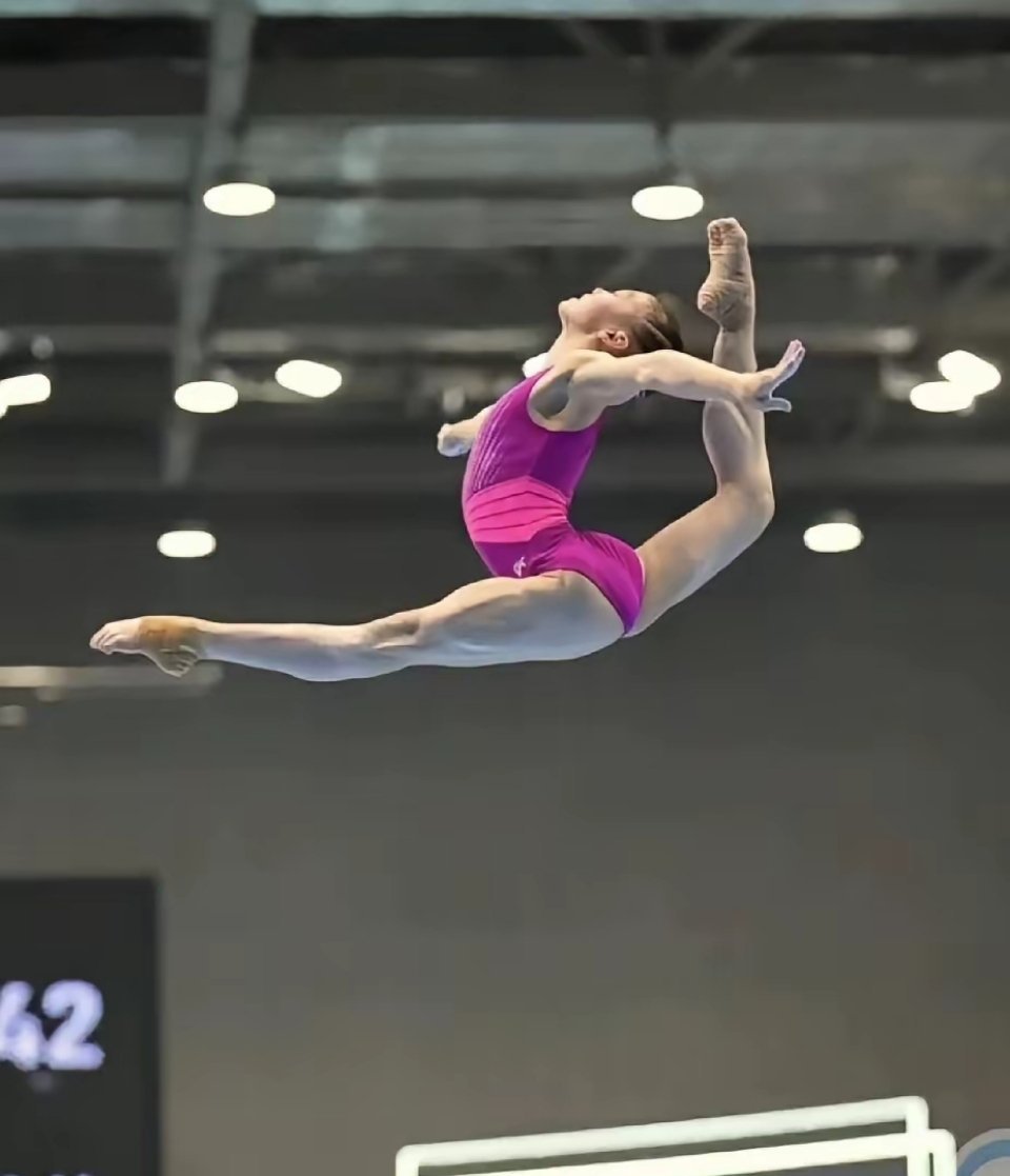 要是十五届全运会要评最佳运动员奖，如果只能选一位的话，那必须是来自广东东莞的体操