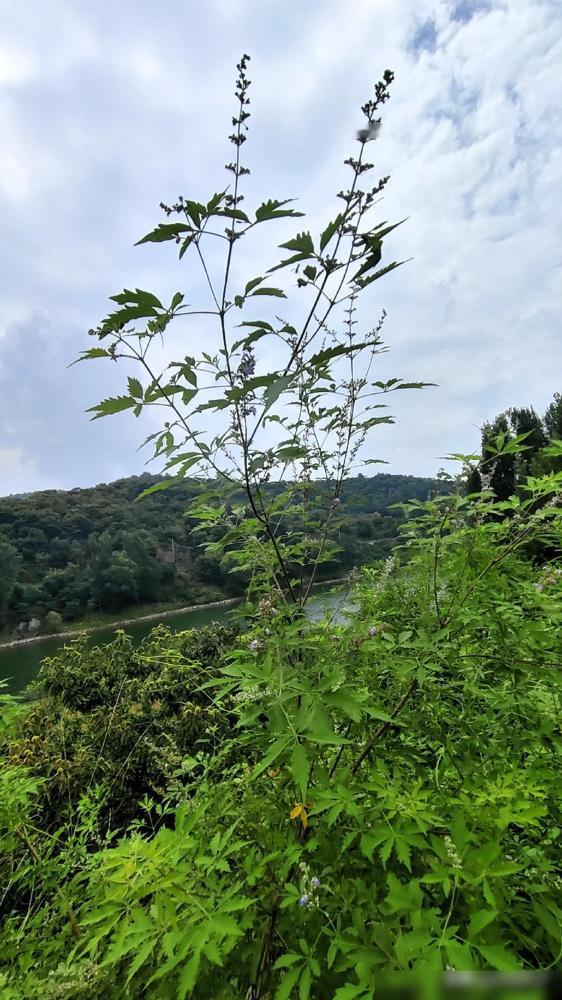 有一种不幸，叫做造化弄人。我活了四十多岁，见过太多类似的糟心事，最让人寒心的