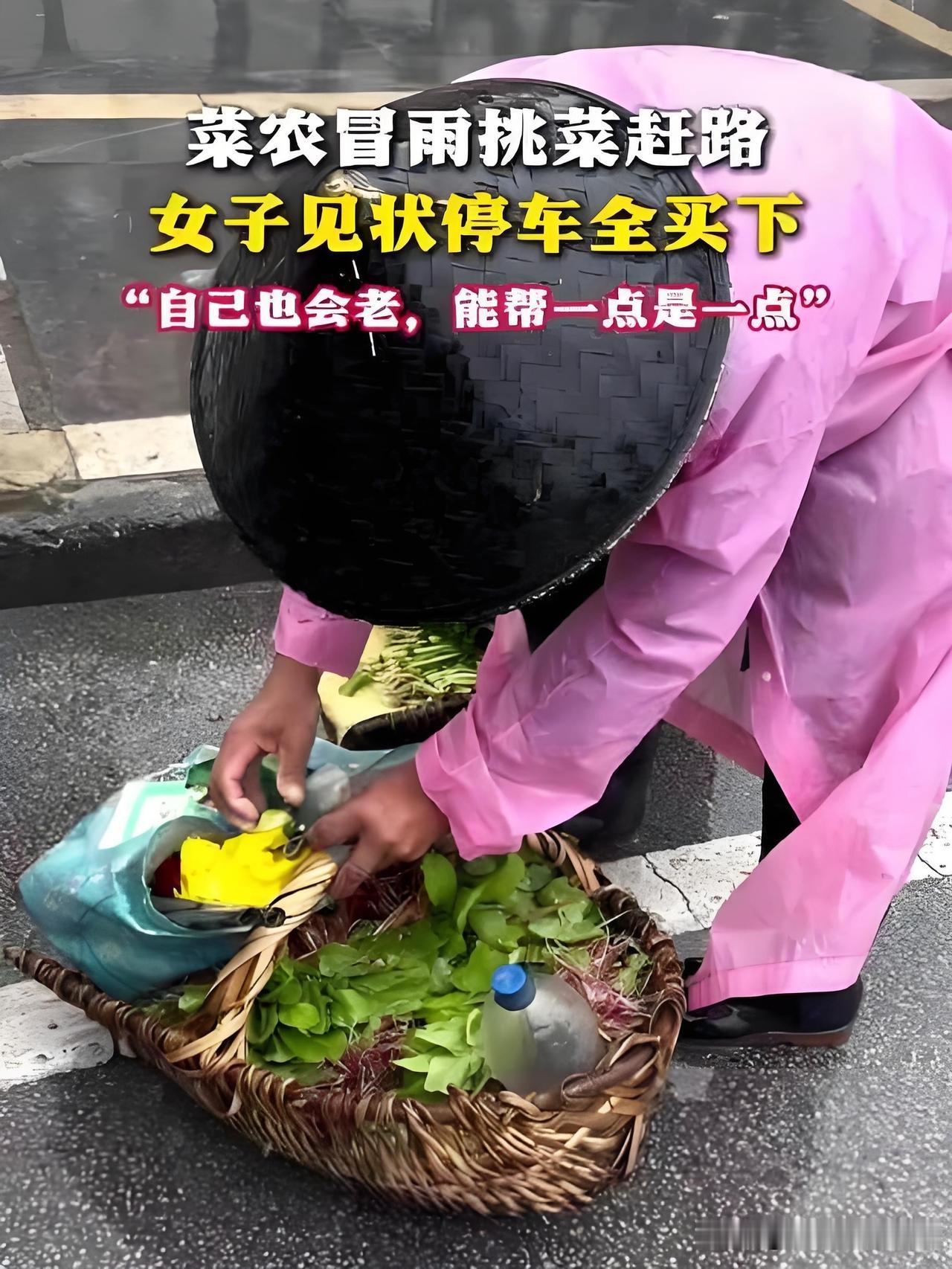 暴雨突袭的清晨，河南许昌街头一位菜农冒雨守着满筐新鲜青菜，浑身淋得透湿，眼看着菜
