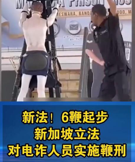 新加坡对网络人员实施鞭刑！2025年11月份起，所有在新加坡参与网络犯罪的人员