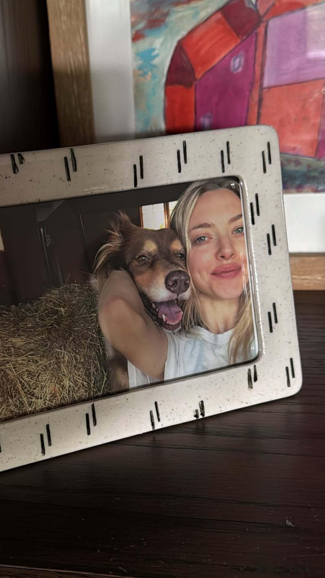 AmandaSeyfried阿曼达塞弗莱德分享家中的相框摆件，留住和阿芬最温馨