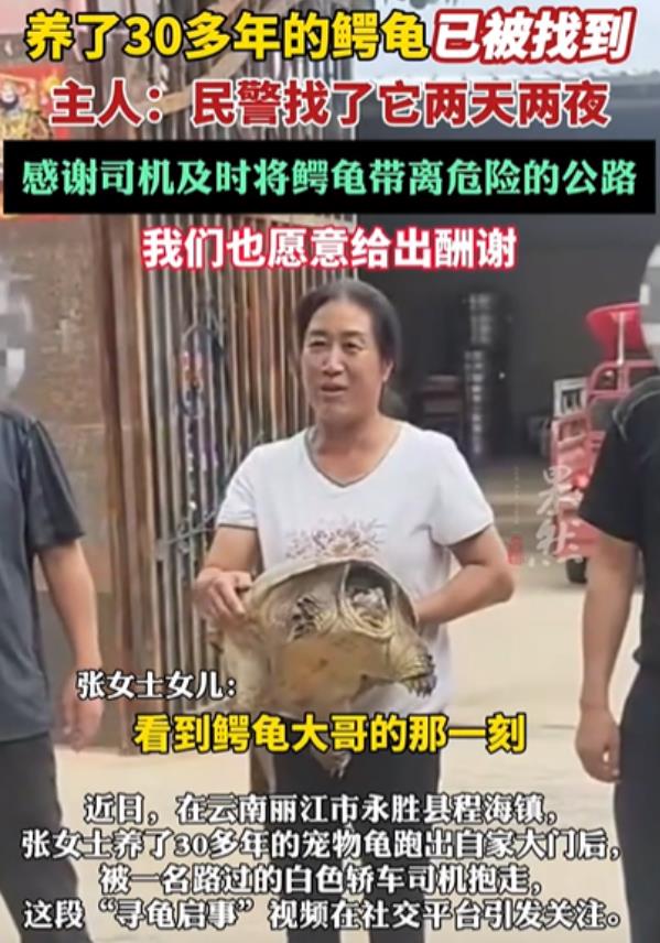 被抱走的鳄龟找到了，张女士看到鳄龟大哥的那一刻，眼泪都快出来了，感谢白车司机，要