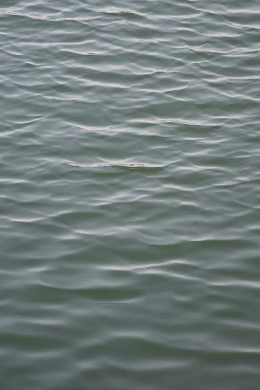 对待波动和回撤的正确态度应该是，对大的方向有个框架判断，至于过程中的涨跌都是噪音