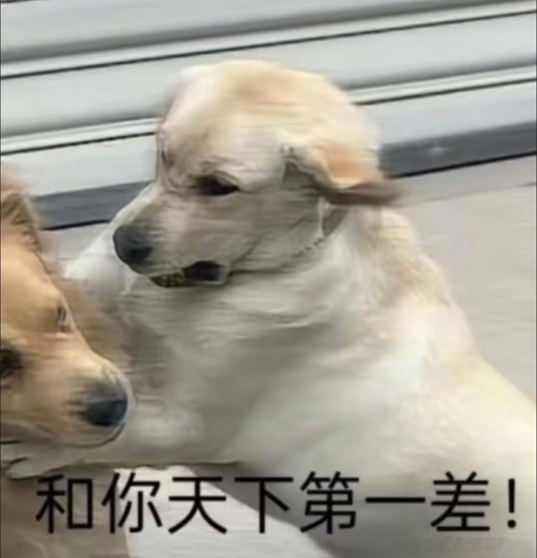 双子、天秤、双鱼生气，闹完转头就忘，不会把怨气记很久狮子、白羊、射手生气，当下情
