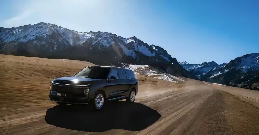 专家预测：未来中国汽车品牌存活率榜单出炉，这些品牌稳了！​一、红旗汽车：100