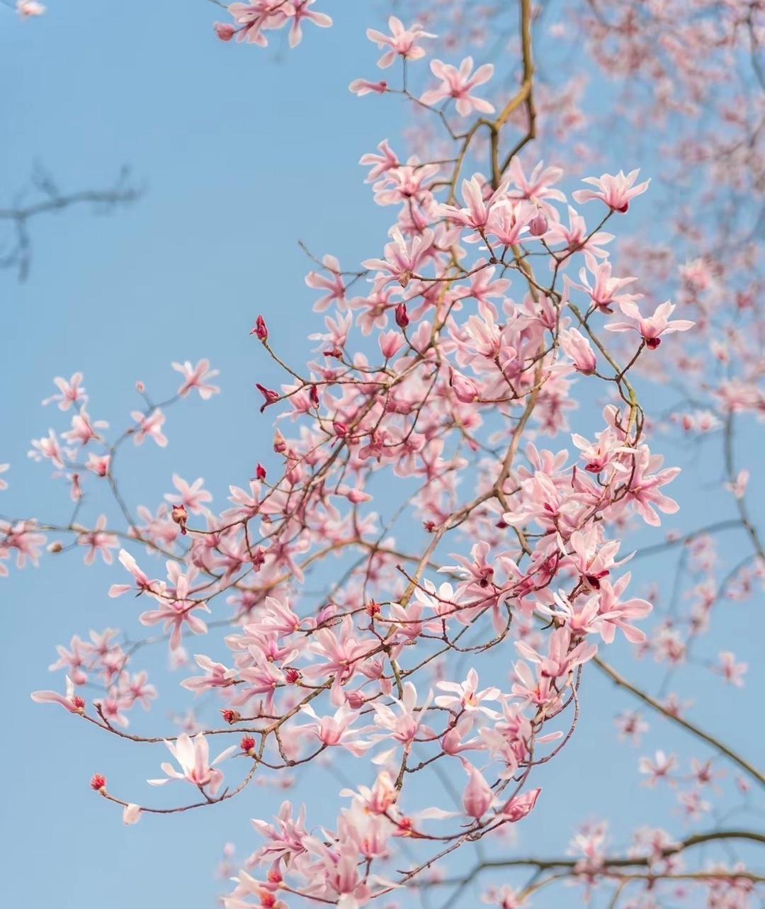 堂姐家女儿今年来深圳找工作，在我这住了一个多月，吃住全包，没要她一分钱。结果找了
