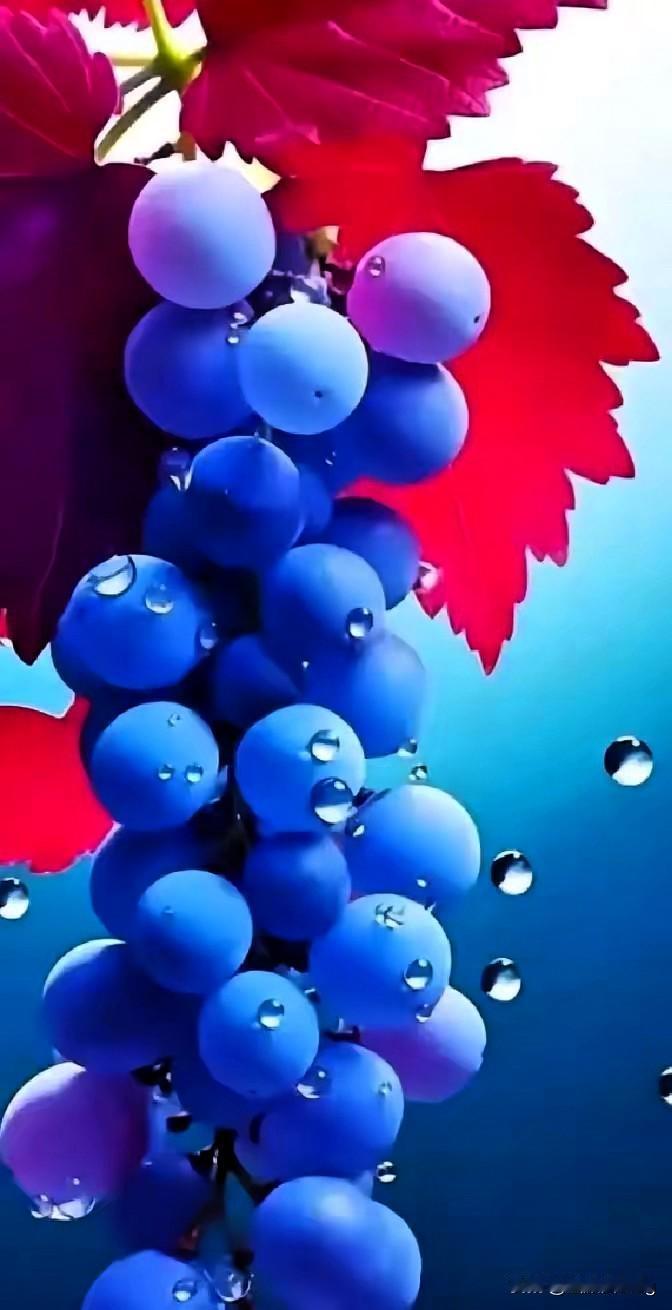 江苏南通这对九旬老夫妻的故事，看哭了多少人！凌晨相伴离世，前后不过十分钟，老太太