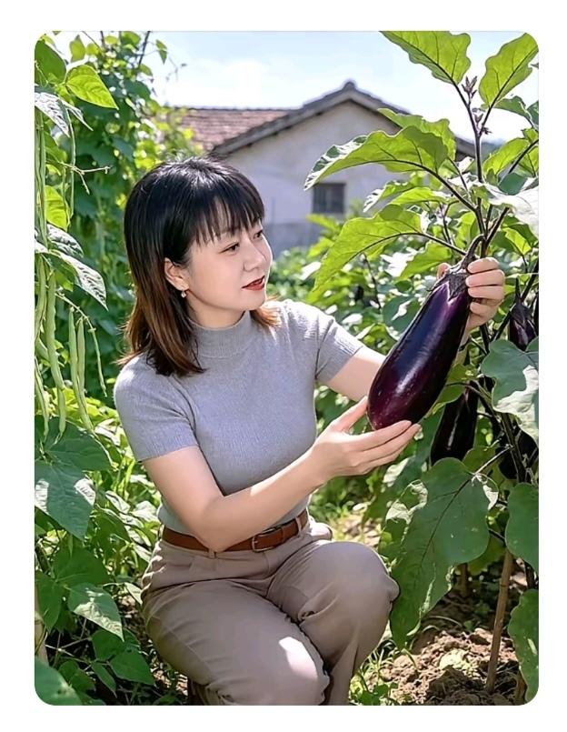 菜园一角小院蔬菜品种多；豆角辣椒和土豆；还有鲜红西红柿；最好吃的属茄子；