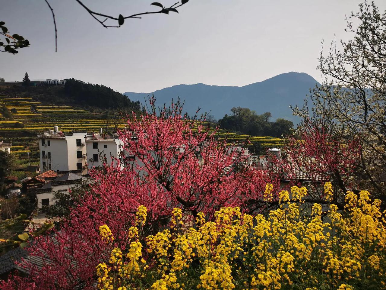 很多的家长还不能够明白为什么孩子到我们这边上课了，孩子就不愿意走了，你以为我随便