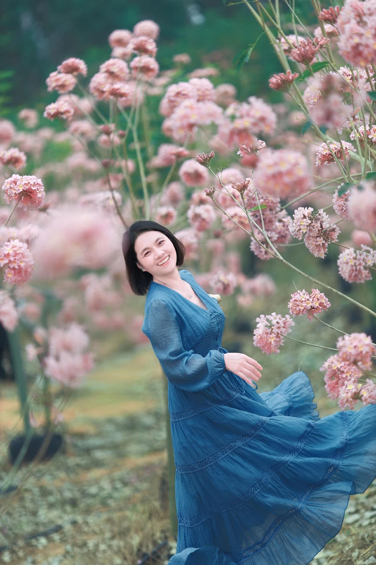 风玲花海摄影爱好者花海拍照摄影花絮特写