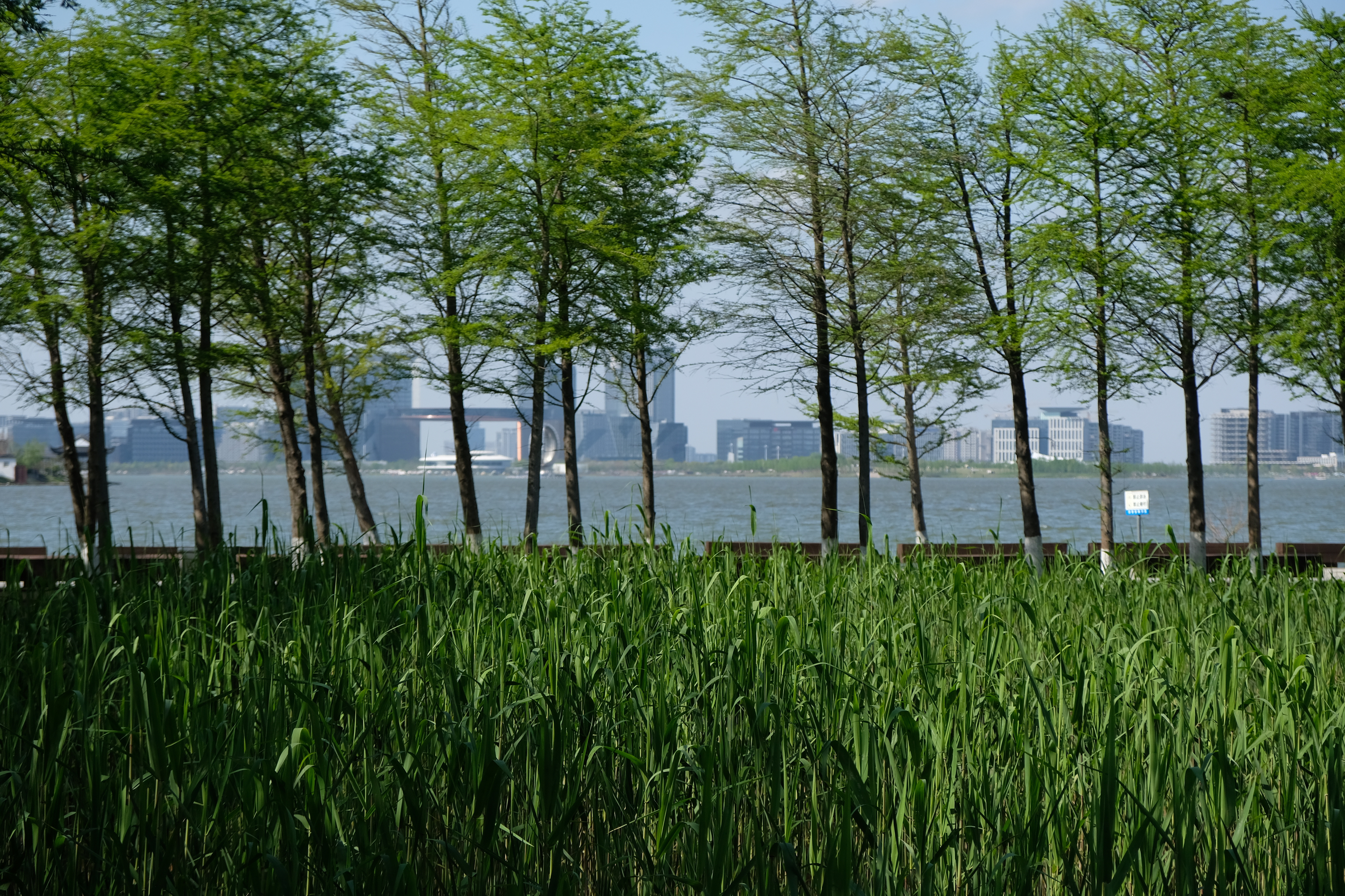 带娃的辛苦在于：出去前，想着露个营啊，看看风景啊，拍拍照片啊。现实情况是，一到地