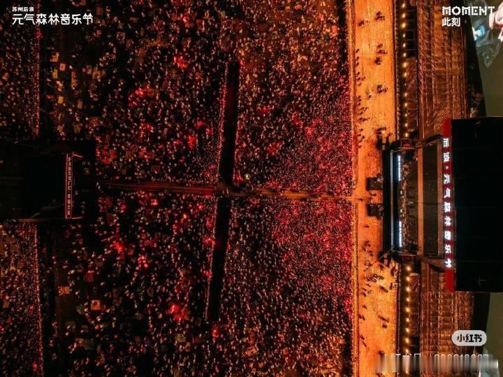 任嘉伦元气森林音乐节人气恐怖如斯​​​