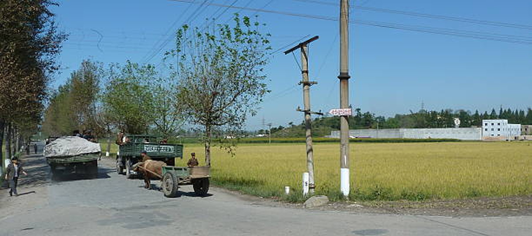 2010年9月23日，朝鲜平壤郊区乡村道路上的汽车、马车。