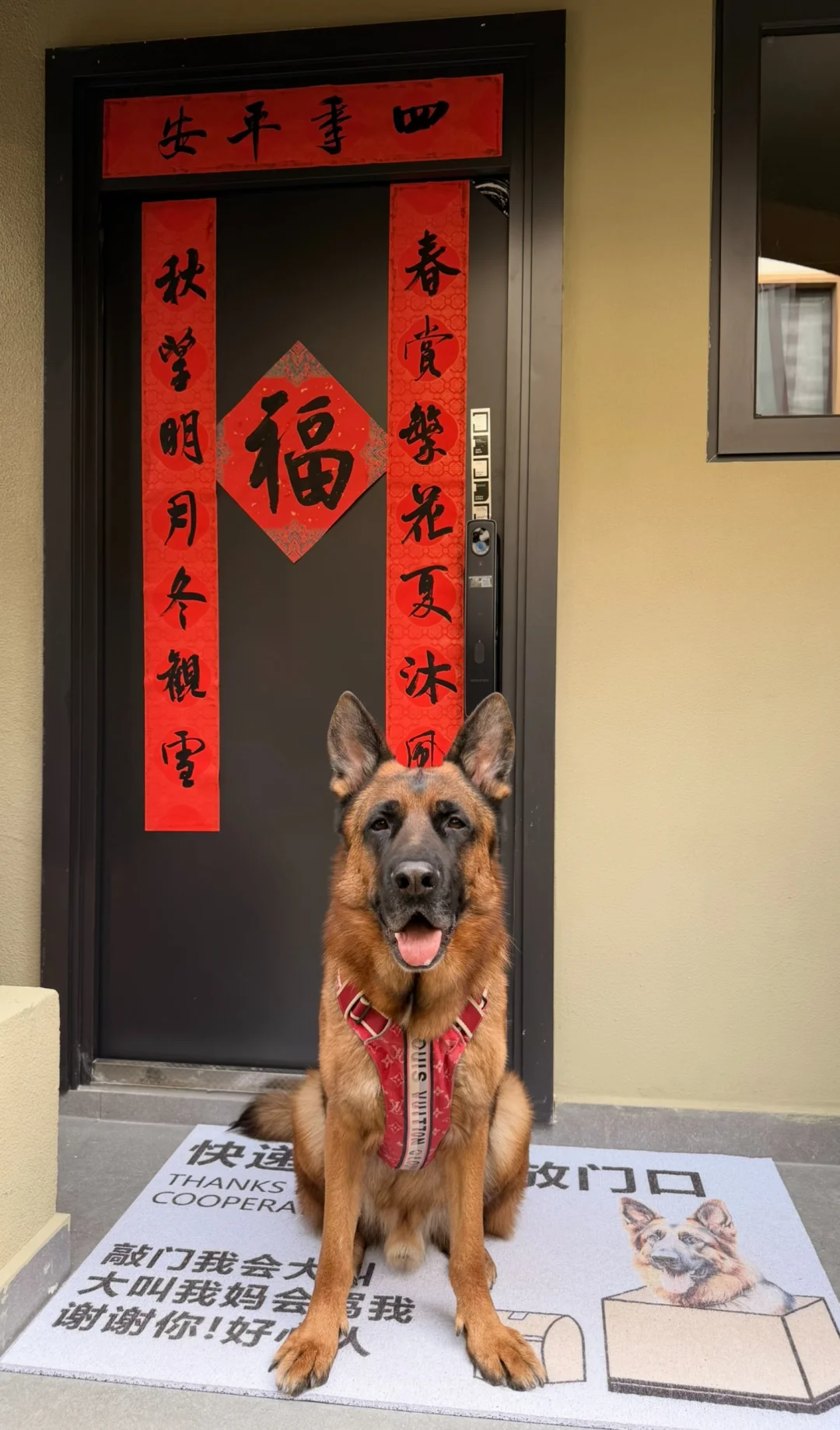 祝大家新年汪汪汪！