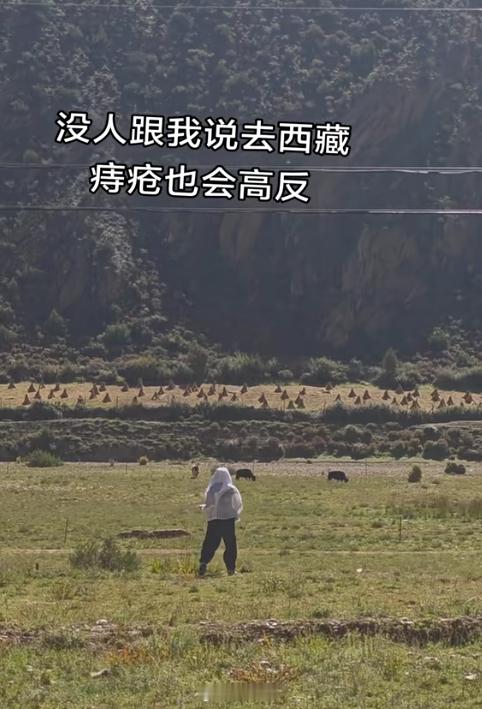 所以，还没去过西藏，但是我要跟他告别了。