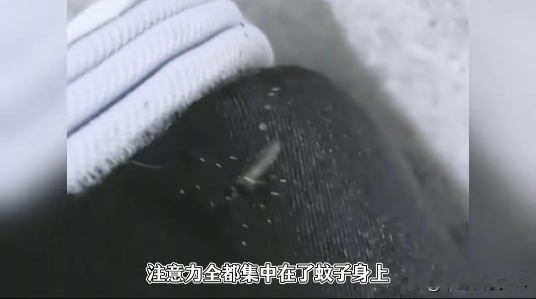 宁波殡葬王把“棺中王”打了一顿还让对方不敢吭声，看完我CPU都烧了！刷到个