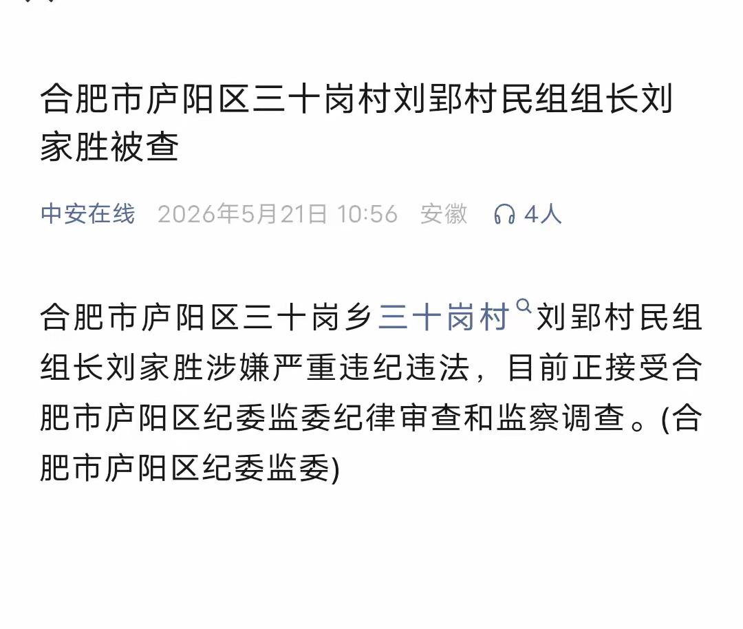 这应该是“打虎拍蝇”中被拍的最小的苍蝇了吧！村民组组长这个职务虽然算得上是最低级
