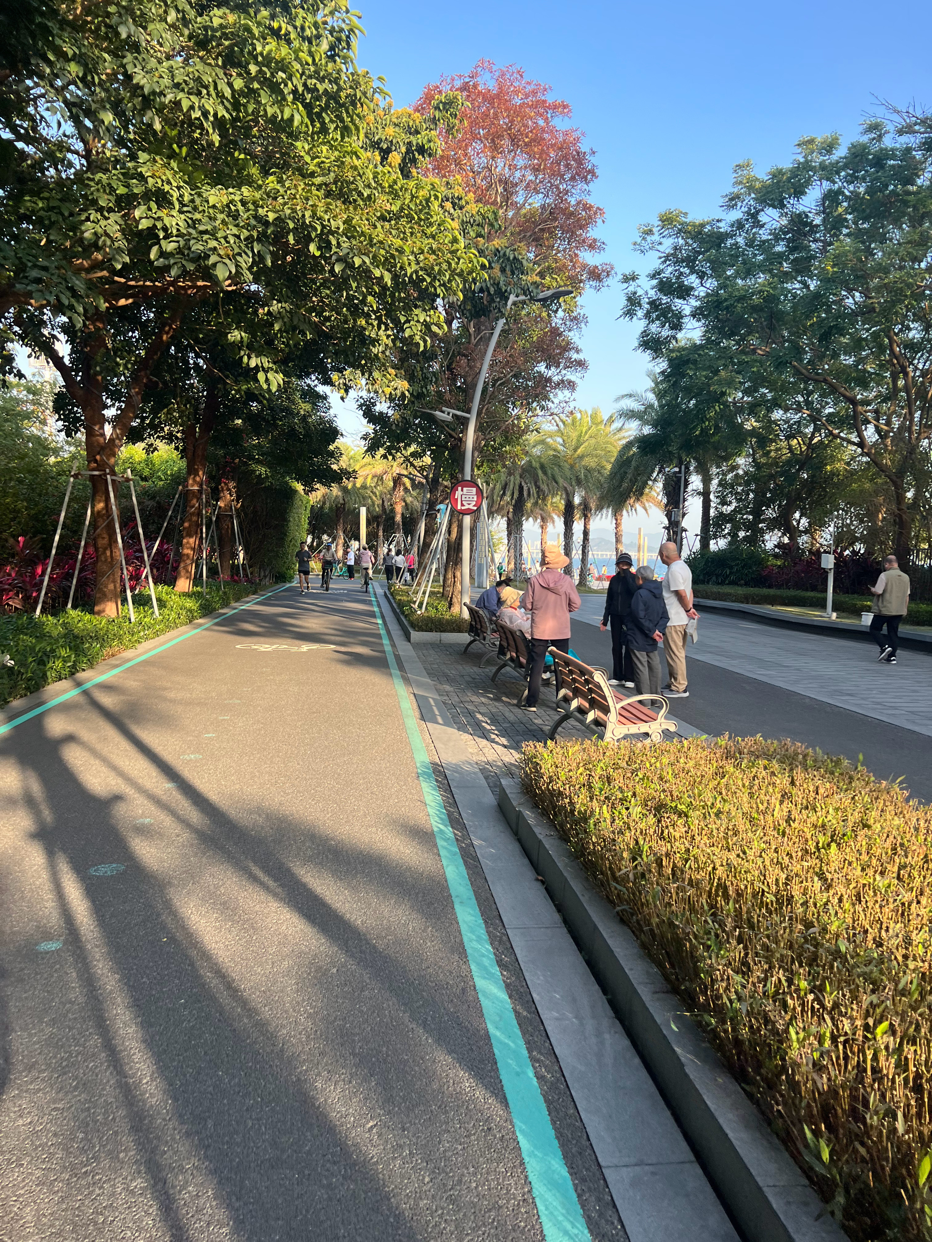 深圳的公园众多，大大小小上千个，每个公园环境都很美，绿树成荫，花卉常年盛开。深圳