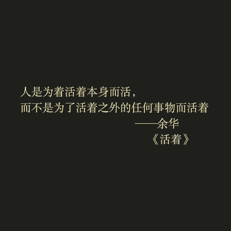 活着的意义，意义不是想出来的，是活出来的你总想着，必须要找到一个标准答