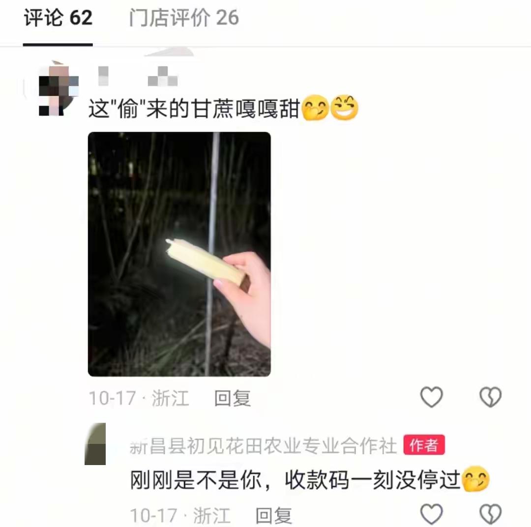 笑不活😆!浙江老板立牌“欢迎偷甘蔗”,20天已收偷款6000元,网友:这贼当得