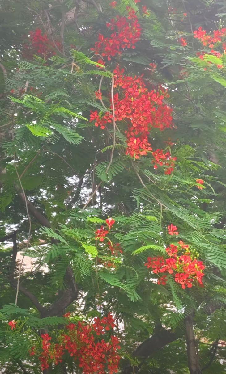 邻居儿子从上海回来，开着宝马，问我愿不愿去上海帮他管仓库。他刚从车上下来，看到