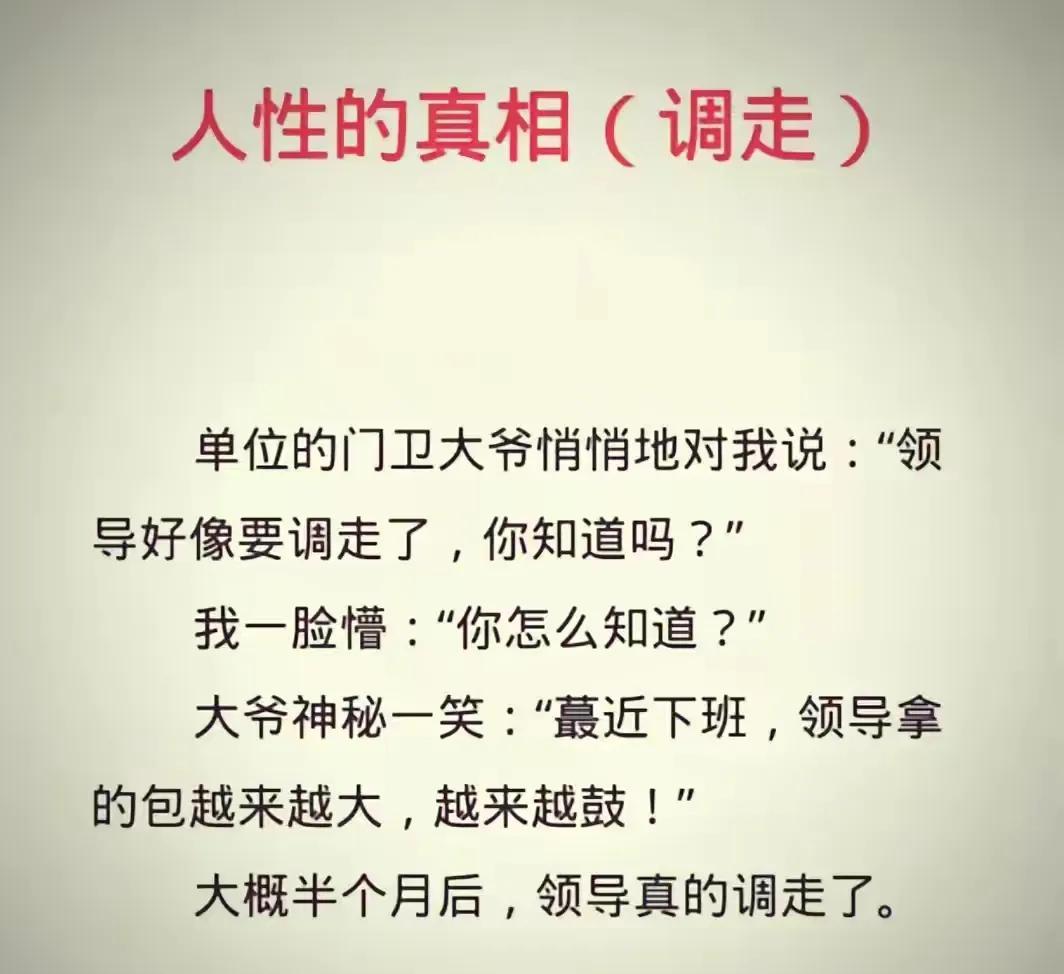 领导被调走的原因你知道吗？