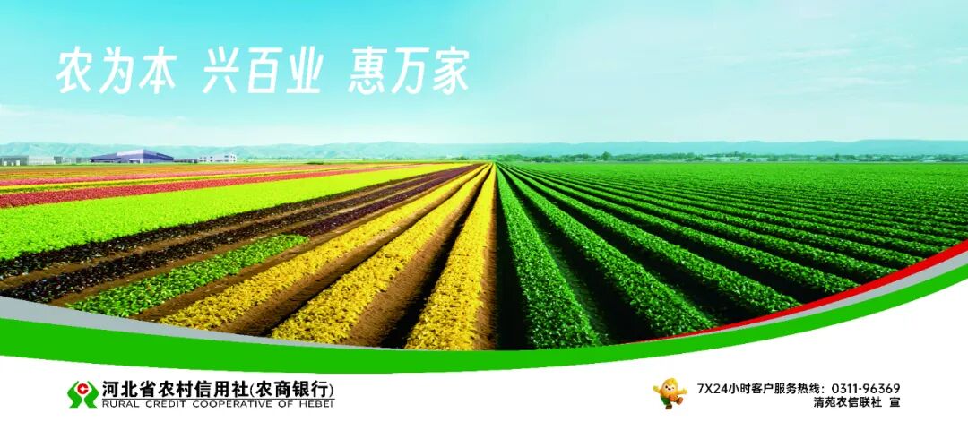 [百姓故事]李志国: 十年如一日 甘当邻里“贴心人”